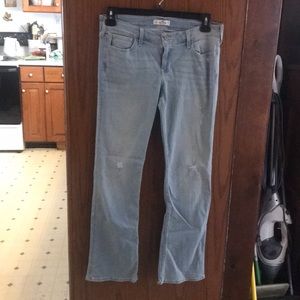 Hollister Jeans NWT